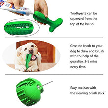 Carica l'immagine nel visualizzatore di Gallery, Bogeer Spazzolino da Denti per Cani Detergente di Cane Dog Verde-L - Ilgrandebazar