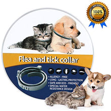 Carica l'immagine nel visualizzatore di Gallery, NINGBO CHANSON Collare Antipulci per Cane e Gatto, 60cm Collare... - Ilgrandebazar