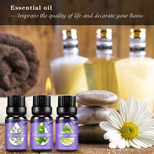 Carica l'immagine nel visualizzatore di Gallery, Oli Essenziali per Diffusori,Aromaterapia Puri Viola