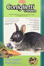 Carica l'immagine nel visualizzatore di Gallery, Padovan Grandmix Coniglietti - Alimento Completo per conigli con frutta e...
