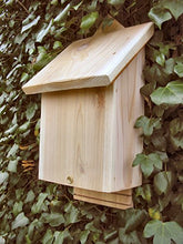 Carica l'immagine nel visualizzatore di Gallery, Wildlife World CBB Casella per i Pipistrelli