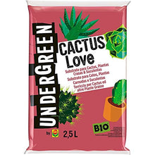Carica l'immagine nel visualizzatore di Gallery, Undergreen, 2,5 Cactus Love, Terriccio BIO Ideale per tutte le Cactacee e...