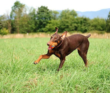 Carica l'immagine nel visualizzatore di Gallery, Chuckit Cane Ultra Ball, M