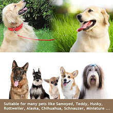 Carica l'immagine nel visualizzatore di Gallery, iNEEGO Guinzaglio per Cani 20M Intrecciato 20 metri, rosso