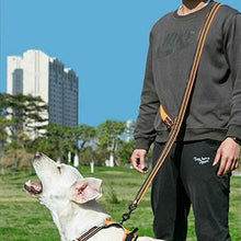 Carica l'immagine nel visualizzatore di Gallery, Guinzaglio per Cani Nylon da M(Larghezza:2cm), Arancione
