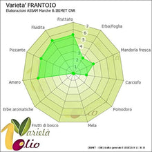 Carica l'immagine nel visualizzatore di Gallery, 1