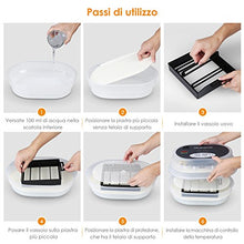 Carica l'immagine nel visualizzatore di Gallery, Amzdeal Incubatrice Automatica per 9/12 Uova Controllo Automatico di... - Ilgrandebazar