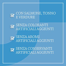 Carica l'immagine nel visualizzatore di Gallery, Amazon Brand - Solimo - Complete Dry Cat Food - Salmon, Tuna and 3 kg - Ilgrandebazar