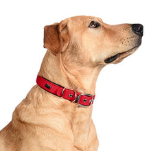 Carica l'immagine nel visualizzatore di Gallery, PetTec Comodo Collare Regolabile per Cani Taglia M (40-50cm), Rosso - Ilgrandebazar