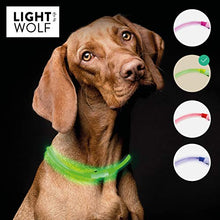 Carica l'immagine nel visualizzatore di Gallery, Riijk, collare luminoso a LED per cani e gatti, resistente alla pioggia Verde