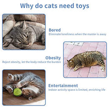 Carica l'immagine nel visualizzatore di Gallery, BaiYi ocattoli per Gatti,21Pezzi Giocattoli Interattivi Giochi Gatto Giochi...