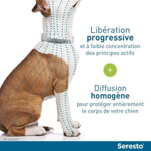 Carica l'immagine nel visualizzatore di Gallery, 20