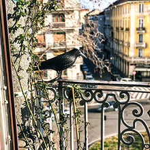 Carica l'immagine nel visualizzatore di Gallery, Blossom Design Corvo Scacciapiccioni 2a Generazione Spaventapasseri... - Ilgrandebazar