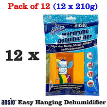Carica l'immagine nel visualizzatore di Gallery, Deumidificatore per armadio da interno appendere-12 Pack - Ilgrandebazar