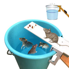 Carica l'immagine nel visualizzatore di Gallery, Pawaca - Trappola per topi a forma di asse, con riposizionamento automatico,... - Ilgrandebazar