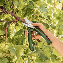 Carica l'immagine nel visualizzatore di Gallery, Bosch 06008B2000 Cesoie potatura EasyPrune, Batteria Integrata, 450 Tagli... - Ilgrandebazar