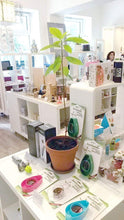 Carica l'immagine nel visualizzatore di Gallery, AvoSeedo Kit regalo da Giardinaggio per Avocado Green - Ilgrandebazar