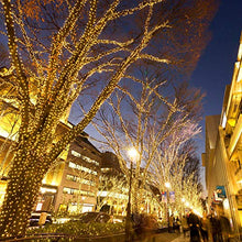 Carica l'immagine nel visualizzatore di Gallery, Stringa Luminosa Solare, ALED LIGHT 2 pacchi 15m / 49ft 300 LED 8 Modalità...
