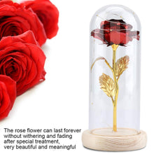 Carica l'immagine nel visualizzatore di Gallery, Duokon Luce a LED Fiore Rosa conservata con Coperchio in Vetro e Base Rosso - Ilgrandebazar