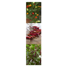 Carica l'immagine nel visualizzatore di Gallery, Magic Garden Seeds Peperoncini Thai - Set di Semi Regalo con 3 varietà... - Ilgrandebazar