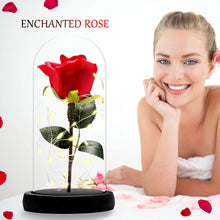 Carica l'immagine nel visualizzatore di Gallery, ASANMU Kit di Rose La Bella e Bestia, Petali Rosa Elegante Cupola di... - Ilgrandebazar