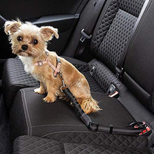 Carica l'immagine nel visualizzatore di Gallery, ECENCE 1x Cintura di Sicurezza per Cani Auto cintura sicurezza - Ilgrandebazar