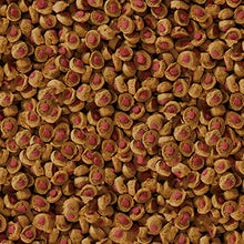 Carica l'immagine nel visualizzatore di Gallery, Sera, Reptil Professional Carnivor, Cibo Per Rettili Carnivori, 330 g Unica - Ilgrandebazar