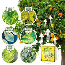 Carica l'immagine nel visualizzatore di Gallery, I Consigli Dell'Esperto Citrus Concime Minerale Specifico per Agrumi