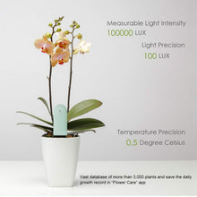 Carica l'immagine nel visualizzatore di Gallery, Wanfei per Xiaomi Flower Care Soil Tester, Intelligent Plant Monitor... - Ilgrandebazar