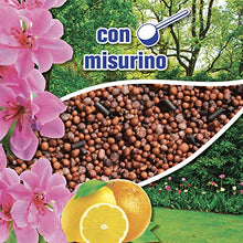 Carica l'immagine nel visualizzatore di Gallery, VIGORFIORI S, concime granulare completo con pronto effetto, 1.3 KG, Nero