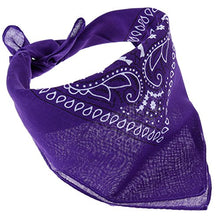 Carica l'immagine nel visualizzatore di Gallery, Anpro 12 Pezzi Bandane Multicolori per Cappelli,Bandana Capelli,... - Ilgrandebazar