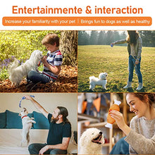 Carica l'immagine nel visualizzatore di Gallery, Focuspet 8 Pezzi Set di Giochi per Cani Cuccioli e Piccola...