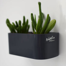 Carica l'immagine nel visualizzatore di Gallery, KalaMitica - vaschetta magnetica 12 cm - Grigio 12 cm, (Piombo) - Ilgrandebazar
