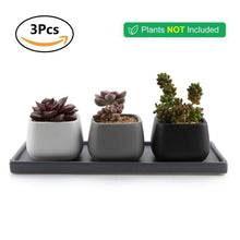 Carica l'immagine nel visualizzatore di Gallery, T4U 7CM Ceramica Moderno Mini Piazza Succulento X-Small, Piccolo Vaso: