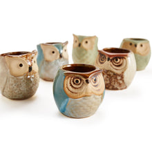 Carica l'immagine nel visualizzatore di Gallery, SUN-E 6.35 cm Gufo vaso ceramica smaltata Base Set Succulente Vaso per... - Ilgrandebazar