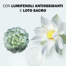 Carica l'immagine nel visualizzatore di Gallery, JOWAÉ Gel Viso Detergente Purificante a Risciacquo con Loto Sacro, per Pelle Mista e Grassa, anche Sensibile, Formato da 200 ml