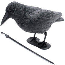 Carica l'immagine nel visualizzatore di Gallery, BREMA Corvo da Giardino, Nero, 38 cm - Ilgrandebazar