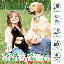 Carica l'immagine nel visualizzatore di Gallery, PROZADALAN [2 PCS] Collare Antipulci Cane, Antiparassitario per Cani per... - Ilgrandebazar