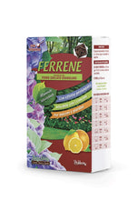 Carica l'immagine nel visualizzatore di Gallery, FERRENE, ferro rinverdente granulare, gr 250, Vitaverde - Ilgrandebazar