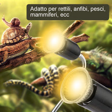 Carica l'immagine nel visualizzatore di Gallery, GOLDGE Tartaruga Illuminazione, 50W Basking Lampada Alogena Calore... - Ilgrandebazar