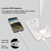 Carica l'immagine nel visualizzatore di Gallery, Lampada da scrivania a LED, lampada tavolo protezione degli occhi, Silver - Ilgrandebazar