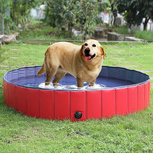 Carica l'immagine nel visualizzatore di Gallery, Femor Piscina per Cani, Gatti, Bagno 160x160x30cm, Rosso