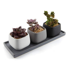 Carica l'immagine nel visualizzatore di Gallery, T4U 7CM Ceramica Moderno Mini Piazza Succulento X-Small, Piccolo Vaso: