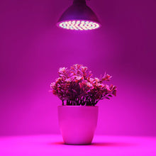 Carica l'immagine nel visualizzatore di Gallery, frcolor E27 6 W 72 LED Lampada Pianta crescita lampadina Bianco - Ilgrandebazar