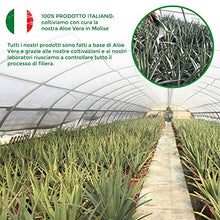 Carica l'immagine nel visualizzatore di Gallery, Benessence - Nalia Spray con Citronella ed Aloe Vera per cani e gatti - 250...