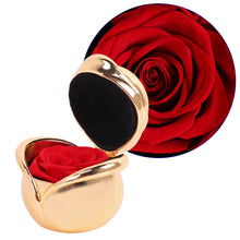 Carica l'immagine nel visualizzatore di Gallery, Regalo donna JTTVO rosa preservata - eterna regalo per Red&amp;gold