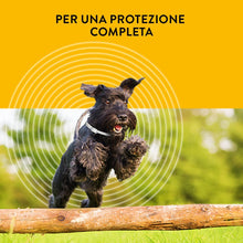 Carica l'immagine nel visualizzatore di Gallery, 15