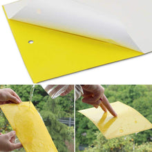 Carica l'immagine nel visualizzatore di Gallery, Ecwin 20 Pezzi Trappola per Mosche Trappole Appiccicose Gialle Plant 20 - Ilgrandebazar