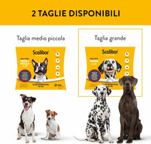 Carica l'immagine nel visualizzatore di Gallery, 11