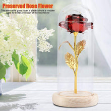 Carica l'immagine nel visualizzatore di Gallery, Duokon Luce a LED Fiore Rosa conservata con Coperchio in Vetro e Base Rosso - Ilgrandebazar